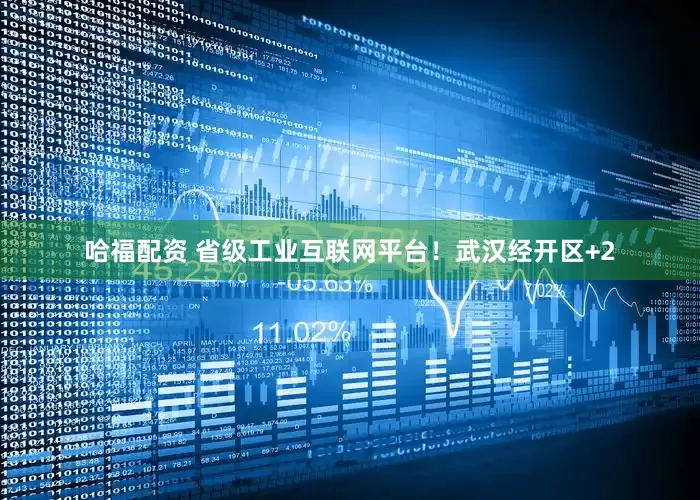 哈福配资 省级工业互联网平台！武汉经开区+2