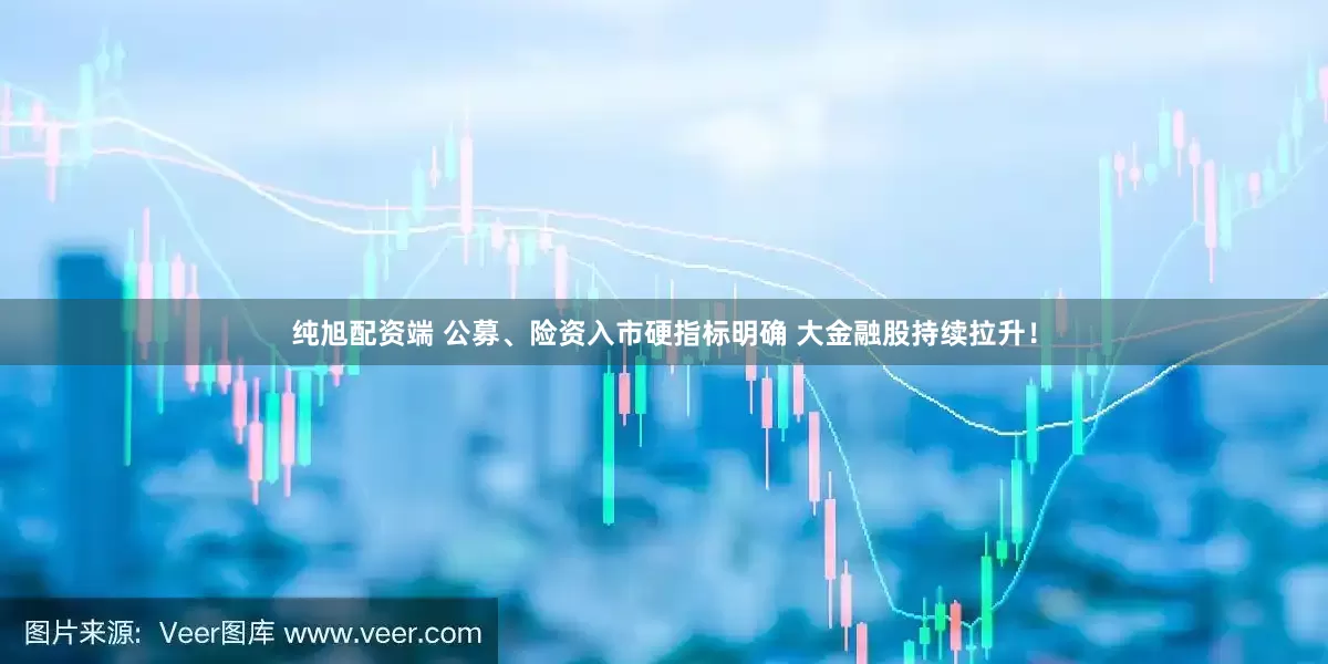 纯旭配资端 公募、险资入市硬指标明确 大金融股持续拉升！