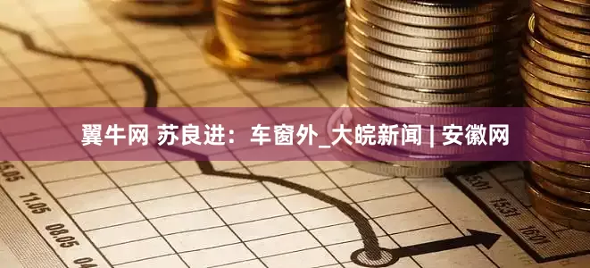 翼牛网 苏良进：车窗外_大皖新闻 | 安徽网